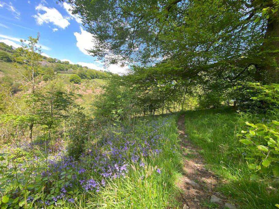 Вилла The Crest Hillside Retreat With Hot Tub Abertillery Экстерьер фото